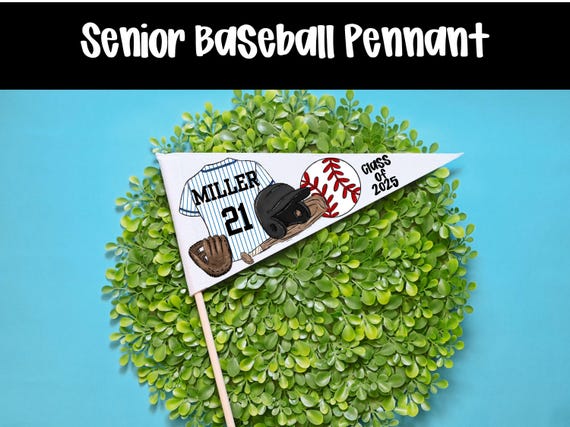 Senior Baseball Gift, Senior Mom, Class of 2026, Senior Night Gift, Baseball Graduation, Baseball Team Gift, Senior 2026 End of Season Gift