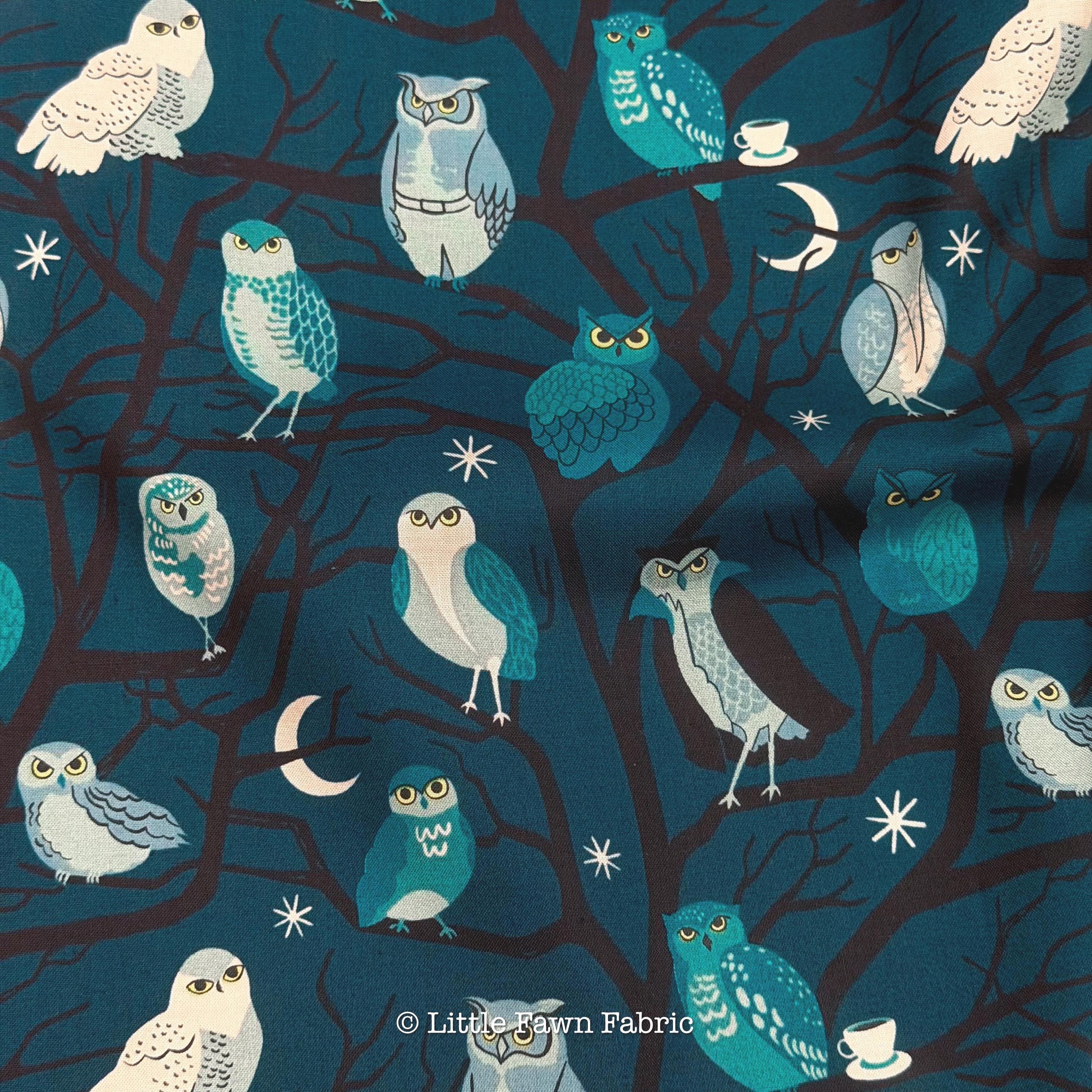 Freaky Familiars Galaxy Owls Fabric, Ruby Star Society RS5190 12, Halloween Owl Fabric, Dark Green Q
