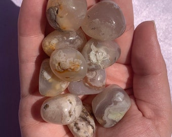 Flower Agate Crystal Tumbles (1 inch) | Polished, Gemstones, Raw Crystals, Natural Stones, Rocks