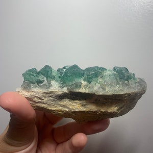May include: A cluster of green fluorite crystals on a rough, beige rock. The crystals are translucent and have a glassy lustre.