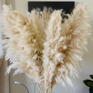 LARGE PAMPAS GRASS 4ft Tall Dried Florals Boho Wedding Arch Arrangement Bridal Bouquet Boho Home Decor Easter Decor Gift for Her image 1