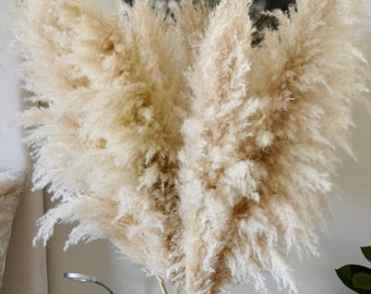 Large Dried Pampas Grass: Boho Wedding Centerpiece, Neutral Home Decor