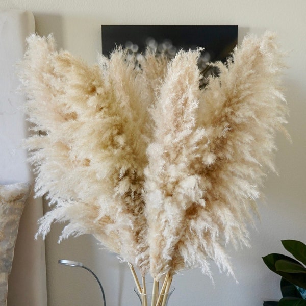 5 Stems LARGE PAMPAS GRASS 4ft Tall Dried Florals | Boho Wedding Arch Arrangement | Bridal Bouquet | Boho Baby Shower | Fall Home Decor