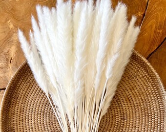 WHITE PAMPAS GRASS 24"H / Flores Secas Premium / Decoración de Boda Rústica Boho / Ramo de Novia / Favores de Boda / Decoración Minimalista