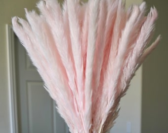 30 tiges d'herbe de Pampas rose 24 po. H. Fleurs séchées | Décoration de mariage bohème | Fête prénatale et chambre de bébé | Décoration d'intérieur de Pâques | Cadeau pour maman