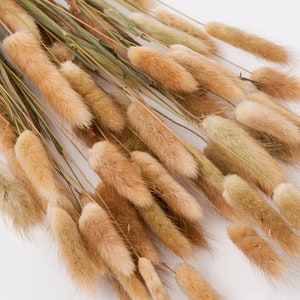 BUNNY TAILS Natural Dried Florals Boho Wedding Decor | Bridal Bouquet | Baby Shower Decor | Dining Centerpiece | Fall Decor | Mom Gift