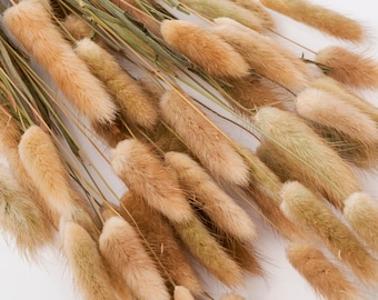 3 Sets BUNNY TAILS Natural Dried Florals | Boho Wedding Decor | Bridal Bouquet | Baby Shower Decor | Dining Centerpiece | Easter Home Decor