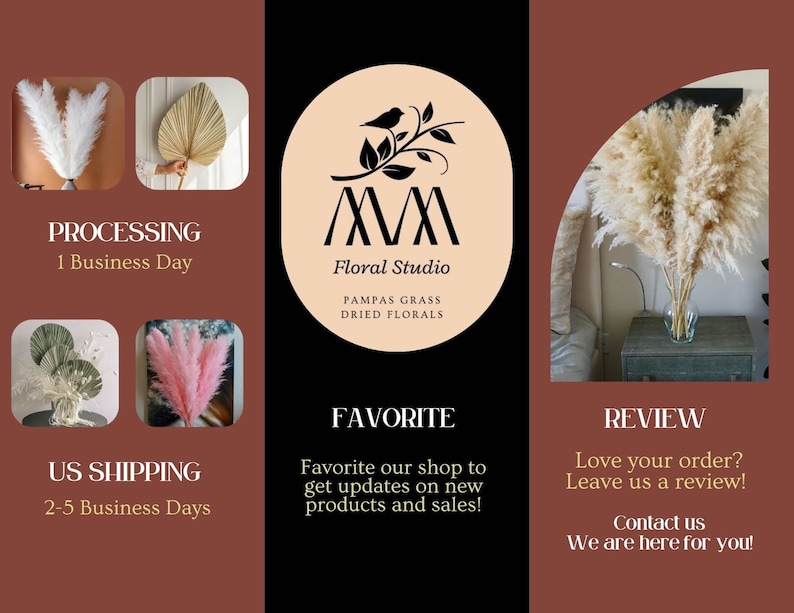 May include: A collage of images showcasing dried pampas grass and other dried florals. The images include a bouquet of dried pampas grass in a vase, a single stem of pink pampas grass, a dried palm leaf, and a bouquet of dried green and white florals. The text "M Floral Studio" is displayed in a circle with a bird and branch design. The text "Pampas Grass Dried Florals" is also displayed. The text "Processing 1 Business Day", "US Shipping 2-5 Business Days", "Favorite Favorite our shop to get updates on new products and sales!" and "Review Love your order? Leave us a review! Contact us We are here for you!" is also displayed.