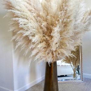 LARGE PAMPAS GRASS 4ft Tall Dried Florals Boho Wedding Arch Arrangement Bridal Bouquet Boho Home Decor Easter Decor Gift for Her image 4