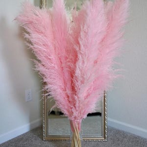 May include: A bouquet of pink pampas grass in a clear glass vase. The vase is sitting on a light brown carpet.