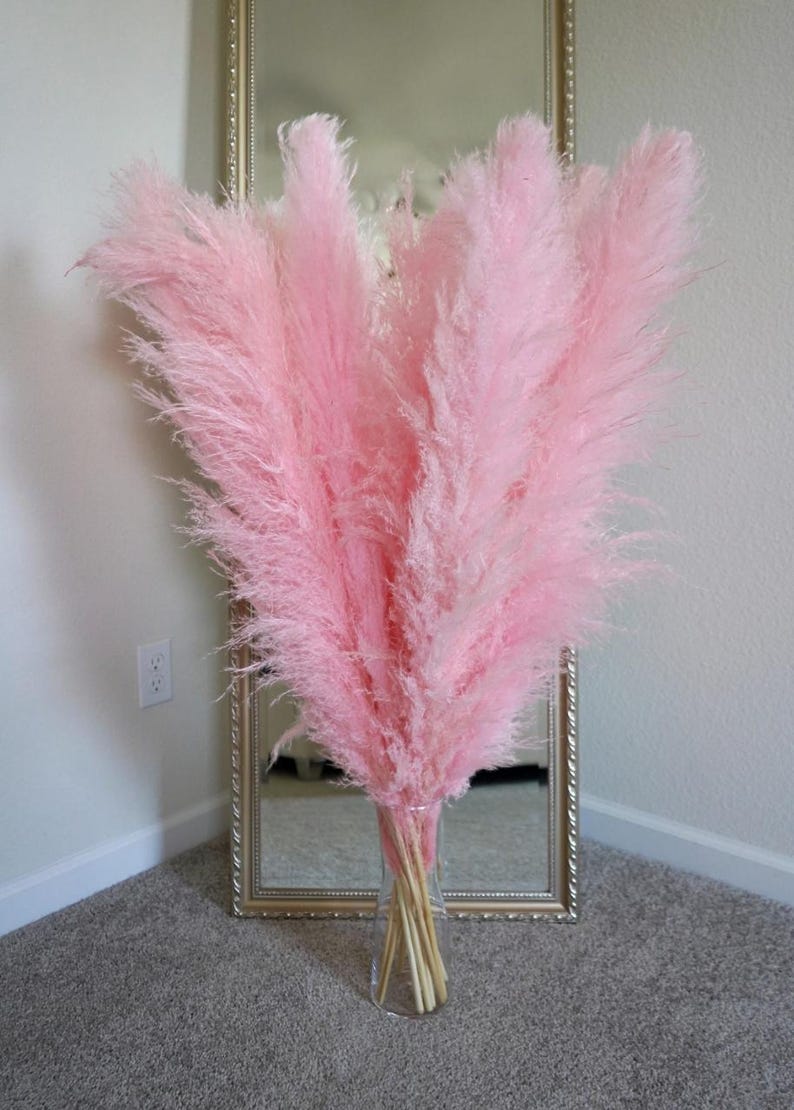May include: A bouquet of pink pampas grass in a clear glass vase. The vase is sitting on a light brown carpet.