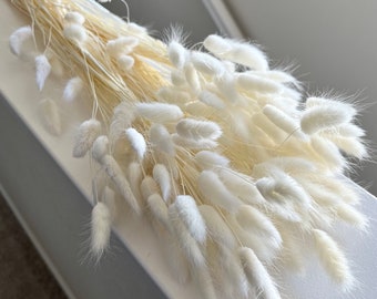 WHITE BUNNY TAILS Dried Florals | Boho Wedding Decor | Spring Home Refresh | Easter Home Decor | Baby Shower Nursery Decor | Gift for Her