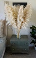 TALL PAMPAS GRASS 4FT | Large Dried Florals | Wedding Arch Arrangement | Boho Home Decor | Bridal Pampas Bouquet | Boho Wedding Decor 