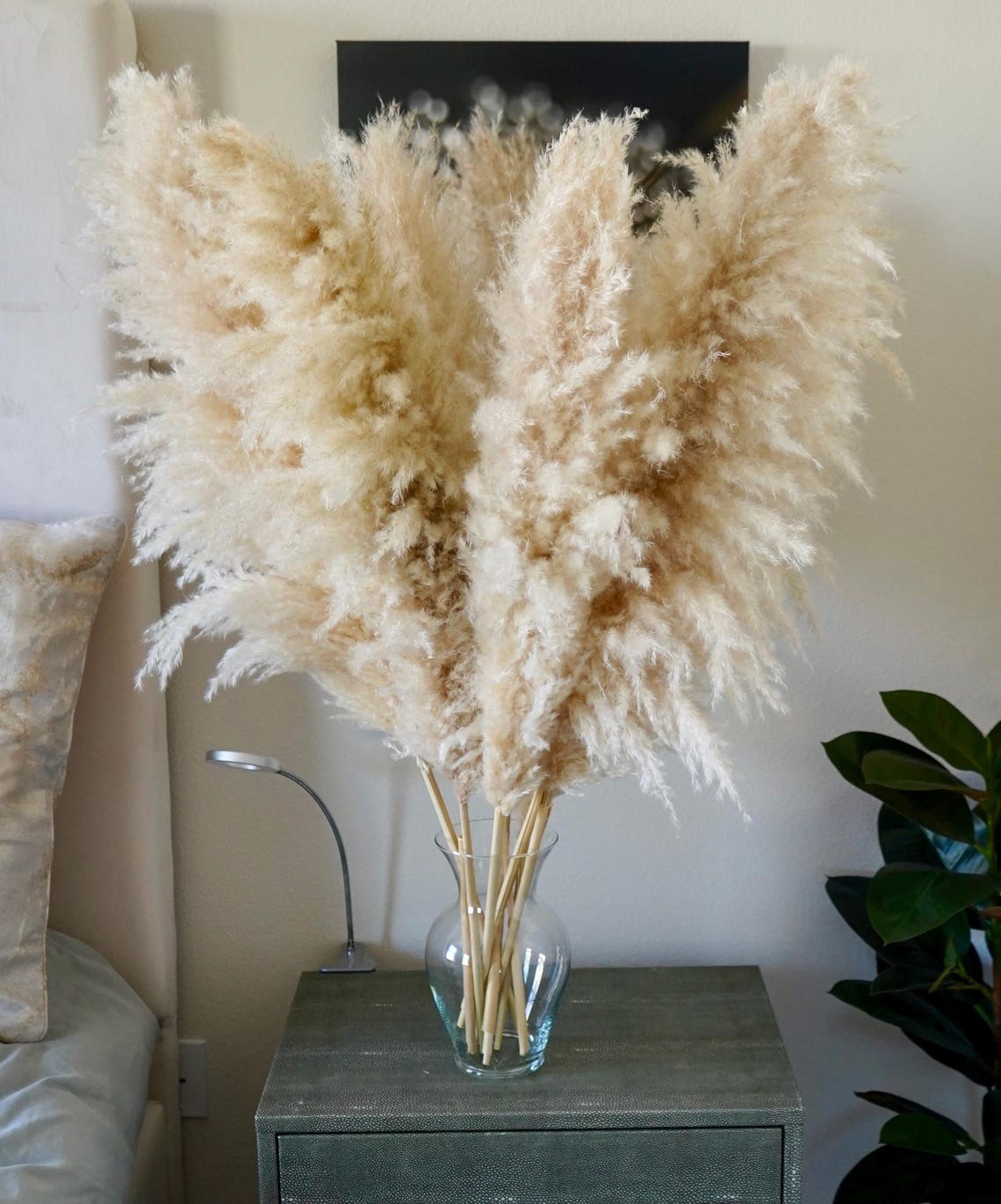 LARGE PAMPAS GRASS - Dried Boho Decor, Wedding Centerpieces, Rustic Neutral Floral Arrangement, Fluffy Natural Pampas for Living Room image 5