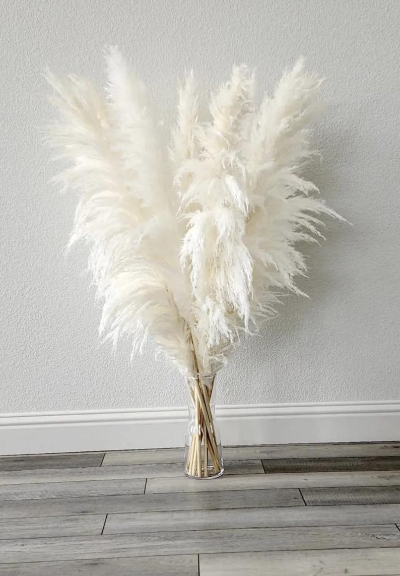 May include: A bouquet of dried pampas grass in a clear glass vase. The pampas grass is white and fluffy, and the vase is tall and slender.