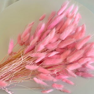 Fleurs séchées ROSE BUNNY TAILS Décoration de mariage bohème Bouquet de mariée Décoration pour baby shower et chambre de bébé Décoration de Pâques Cadeau pour maman image 5