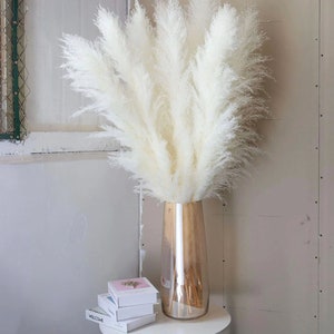 LARGE PAMPAS GRASS 4ft Tall Dried Florals Boho Wedding Arch Arrangement Bridal Bouquet Boho Home Decor Easter Decor Gift for Her image 5