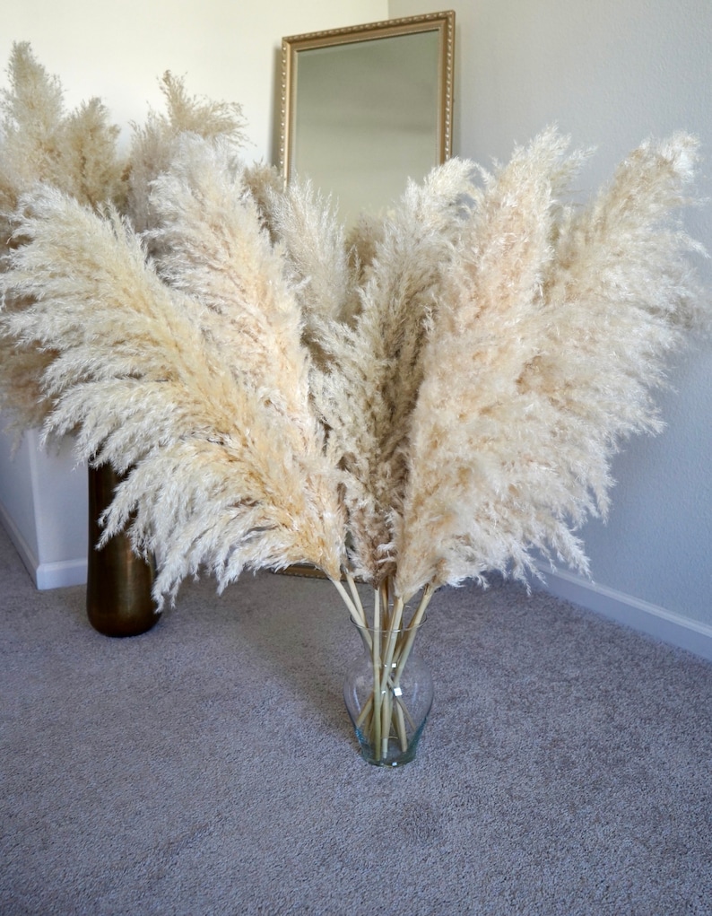 May include: A bouquet of dried pampas grass in a clear glass vase. The vase is sitting on a gray carpet. The pampas grass is a light beige color.