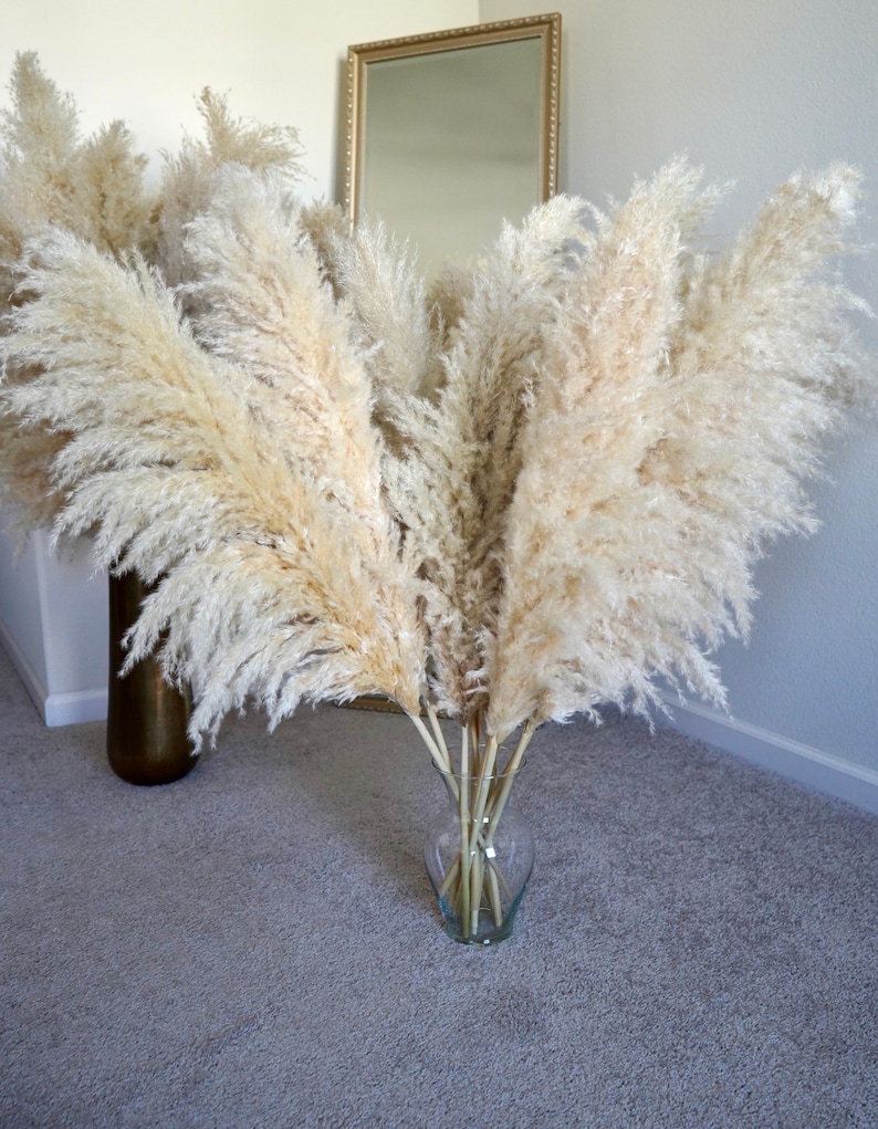 LARGE PAMPAS GRASS 4ft Tall Dried Florals Boho Wedding Arch Arrangement Bridal Bouquet Boho Home Decor Easter Decor Gift for Her image 3