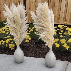 May include: Two tall, fluffy, white pampas grass plumes in gray ceramic vases. The vases are on a gray concrete surface in front of a wooden fence and yellow flowers.