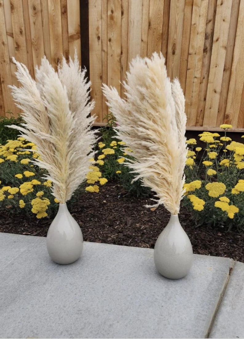 May include: Two tall, fluffy, white pampas grass plumes in gray ceramic vases. The vases are on a gray concrete surface in front of a wooden fence and yellow flowers.