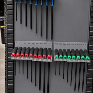 May include: A gray tool storage panel featuring three rows of organized hex and torx keys. The top row has blue-accented handles labeled 2 through 10. The bottom left row has red-accented handles labeled 1/16 through 1/4. The bottom right row has green-accented handles labeled T-10 through T-45.