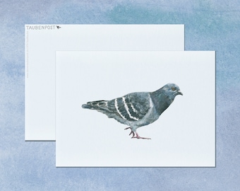 Postcard • Pigeon | City pigeon - 4