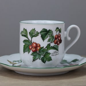 Seltmann Weiden Waldbeere Kaffeetasse mit Untertasse / Unterteller Tasse