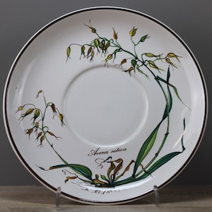 Könnte beinhalten: Eine weiße Untertasse aus Keramik mit dunkelbraunem Rand und einer botanischen Illustration einer Haferpflanze. Das Design zeigt grüne Blätter, gelbliche Halme und den in schwarzer Schrift gedruckten Text Avena sativa nahe der Mitte.