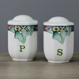 Villeroy & Boch Pasadena Salzstreuer + Pfefferstreuer Salz Pfeffer H. ca 7cm