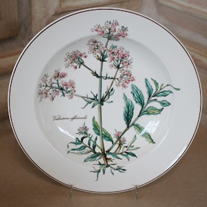 Villeroy & Boch Botanica Suppenteller tiefer Teller OHNE WURZEL Ø ca. 22 cm TOP