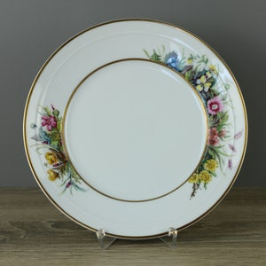 Fürstenberg Herzog Ferdinand 683 Floraison 3760 piatto per torta piatto Ø ca. 20 centimetri