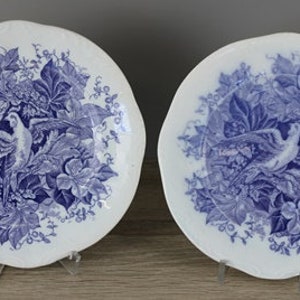 Bryonia Amberg set of 2 cake plates, breakfast plates, diameter approx. 19 cm, small defects