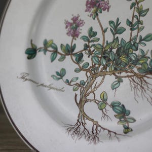 Villeroy & Boch Botanica Kuchenteller Frühstücksteller mit Gebrauchsspuren