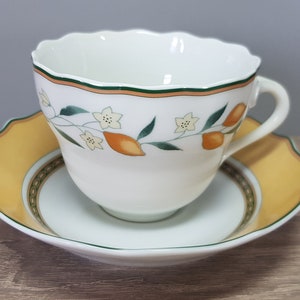 Taza de café Hutschenreuther Medley Alfabia con platillo