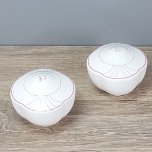 Villeroy & Boch Palatino Salz und Pfeffer Streuer Salzstreuer Pfefferstreuer