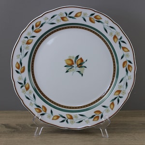 Hutschenreuther Medley Alfabia Finca Platzteller Teller groß Ø ca 30 cm