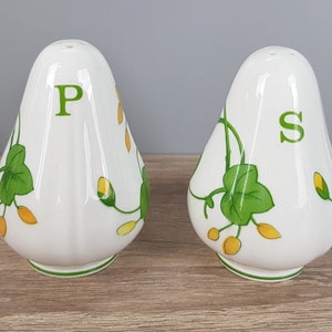 Villeroy & Boch Geranium Salz und Pfeffer Salzstreuer Pfefferstreuer Streuer