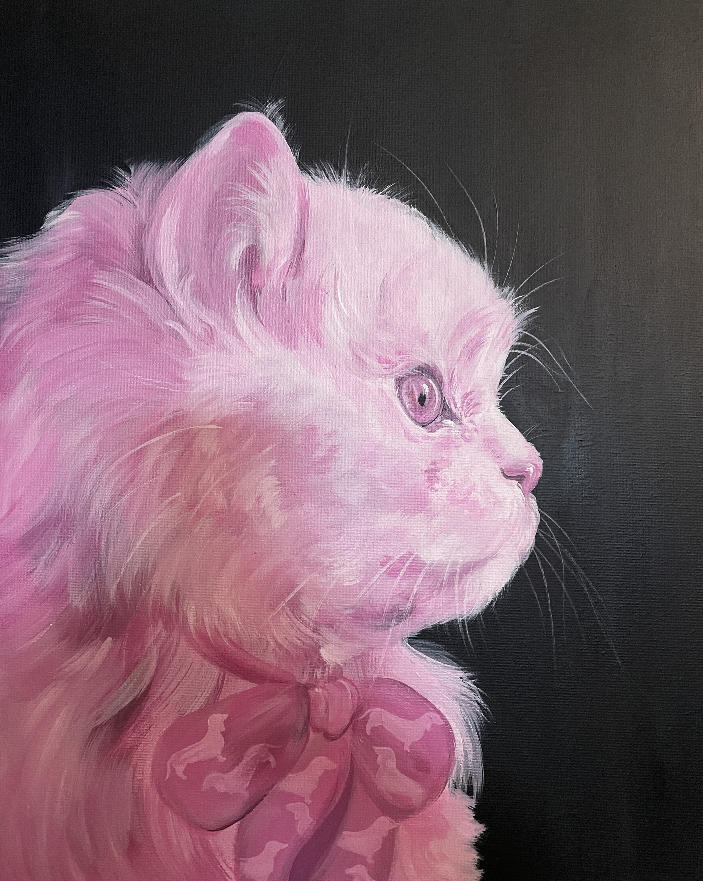 ピンクのペルシャ猫のポートレートプリント：アーカイブ用紙、猫好きへ