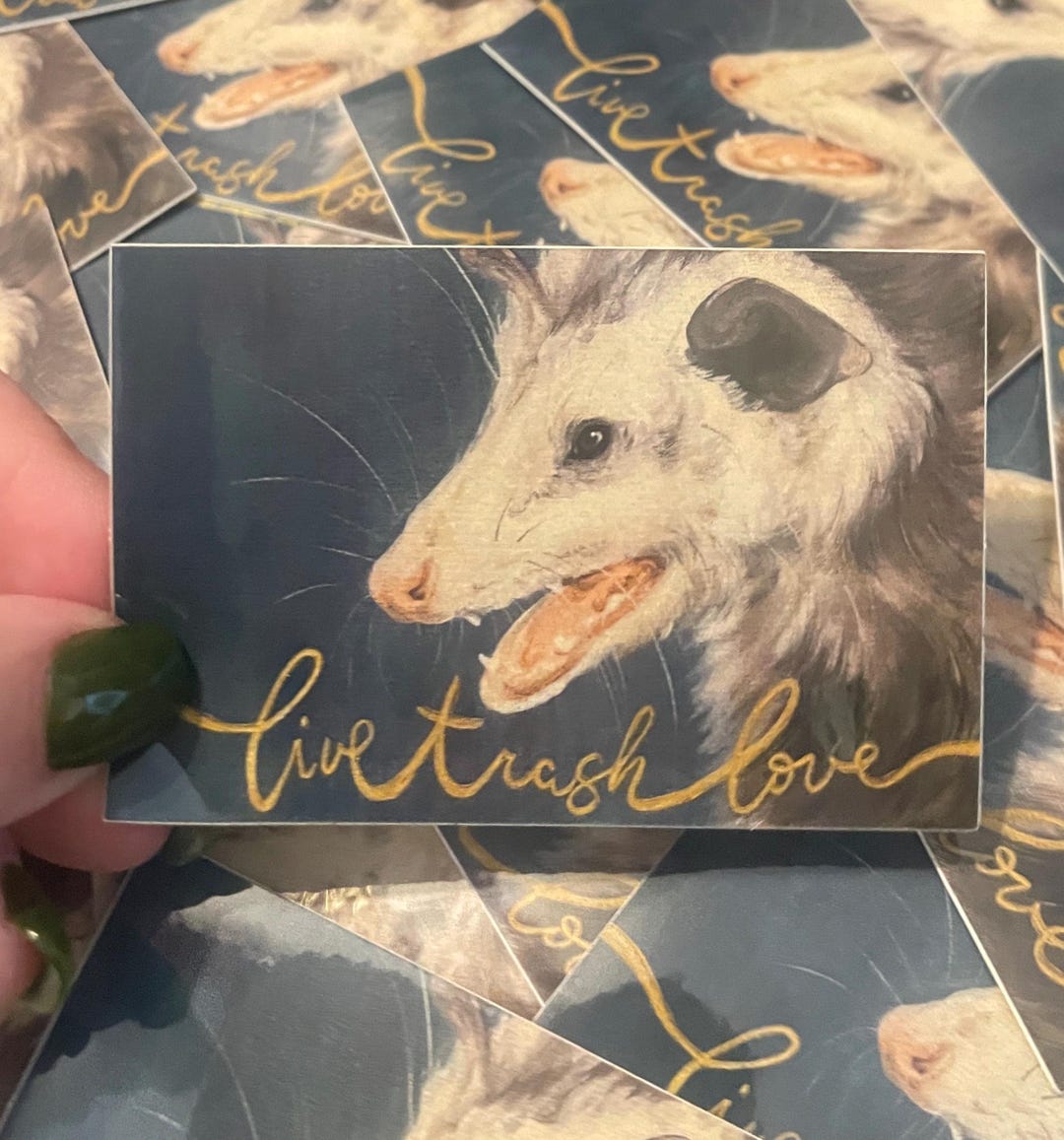 Possum Portrait Sticker: Funny Vinyl Decal (2x3”) - Etsy