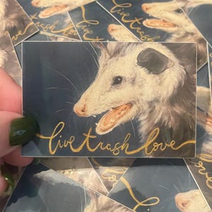 Possum Sticker, Possum Art, Stickers, Laptop Stickers, Stickers for Hydroflask, Funny Stickers, Funny Gifts, Funny Sayings, Vinyl Stickers