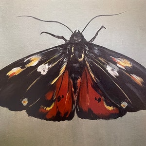 Gevlekte nachtvlinderprint, vlinderkunstprint, gevlekte nachtvlinder, vlinderkunst, vlinderkunst, vlinderdecor, vlinderprint, vlinderkunstwerk, insectenkunst