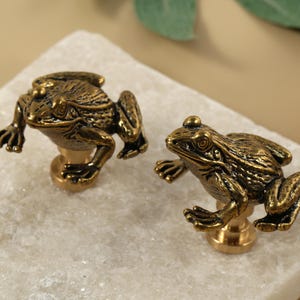 May include: Two bronze-colored frog-shaped cabinet knobs. The knobs are detailed with textured skin and are mounted on a round base. They are placed on a white, textured surface.