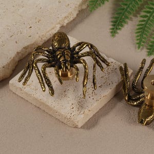 Może przedstawiać: Dwa mosiężne gałki do szafek w kształcie pająka. Gałki są szczegółowe z ośmioma nogami i centralnym słupkiem montażowym. Pająki mają metaliczny złoty kolor i są prezentowane na neutralnym tle.
