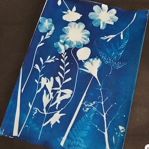 Sonnendruckset,Sun Print Papier Bastelset,Sun Print Papier,Sun Print Papier,Cyanotypie Schablone Kit