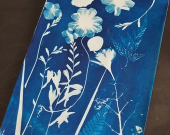 Zestaw do druku słonecznego, papier do druku słonecznego, zestaw do druku słonecznego, papier do druku słonecznego, zestaw szablonów cyjanotypii