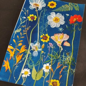Sun Print Papier Handwerk,Sun Print Papier,Cyanotypie Schablonen Kit,Sun Print Papier,Sun Print Papier