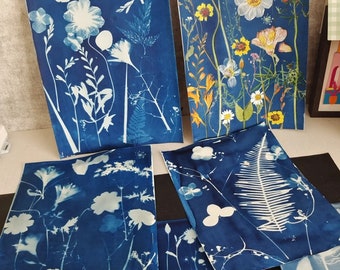 Sun printing paper, Solar printing paper , Sun print paper craft ,Sun print paper, Cyanotype stencil paper