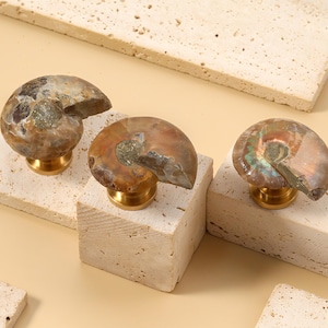 Może przedstawiać: Trzy dekoracyjne gałki do szafek z muszlami skamieniałych amonitów. Każda muszla ma spiralny kształt z brązowymi, beżowymi i opalizującymi kolorami. Gałki są zamontowane na mosiężnych podstawach i umieszczone na małych, prostokątnych blokach kamiennych.