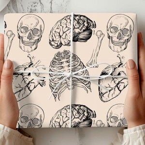 May include: A beige wrapping paper with a repeating pattern of anatomical illustrations. The illustrations include a heart, a rib cage, a brain, and a skull.